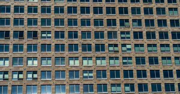 老王vn加速器免费